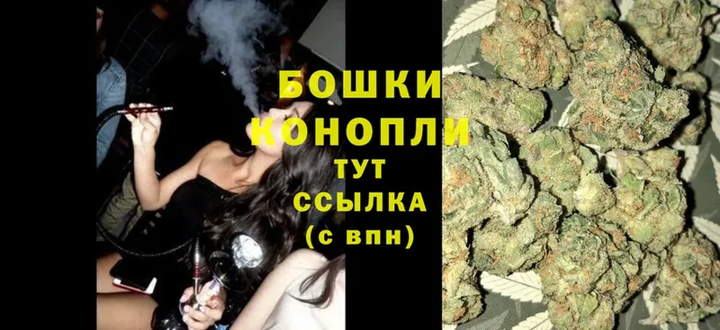 Бошки Шишки OG Kush  Шагонар 